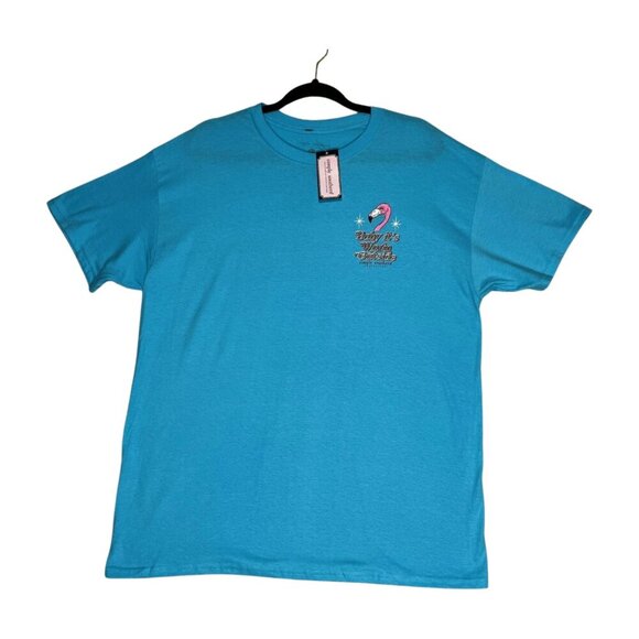 SIMPLY SOUTHERN Women's Flamingo Baby It's Warm Outside Short Sleeve T Sky Blue - Picture 9 of 9